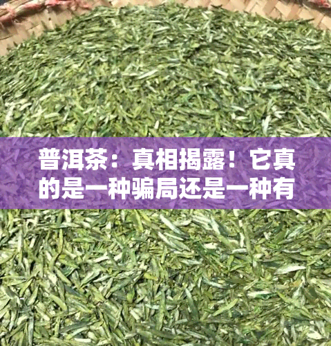 普洱茶：真相揭露！它真的是一种骗局还是一种有益健的饮品？