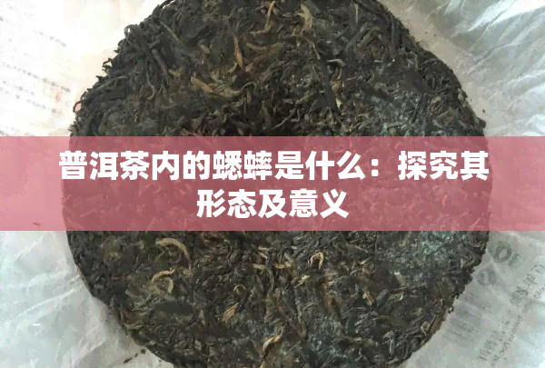 普洱茶内的蟋蟀是什么：探究其形态及意义