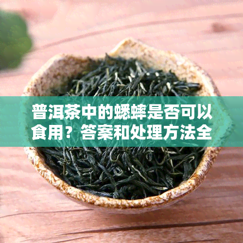 普洱茶中的蟋蟀是否可以食用？答案和处理方法全面解析