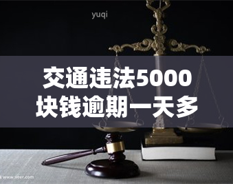 交通违法5000块钱逾期一天多少钱：完整罚款计算与解答