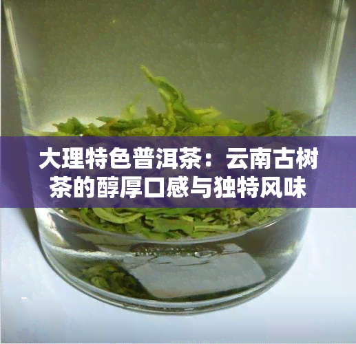 大理特色普洱茶：云南古树茶的醇厚口感与独特风味