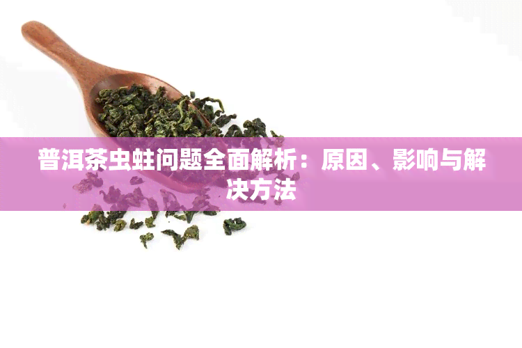 普洱茶虫蛀问题全面解析：原因、影响与解决方法