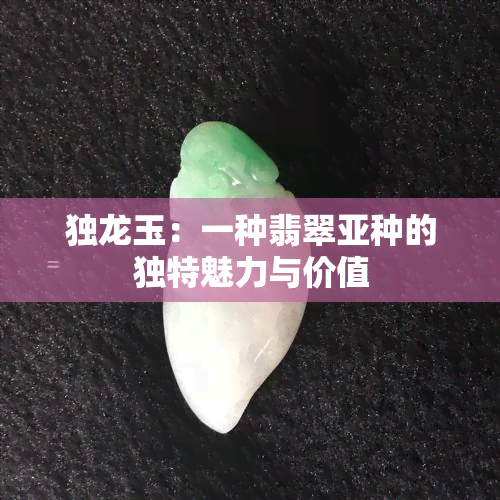 独龙玉：一种翡翠亚种的独特魅力与价值