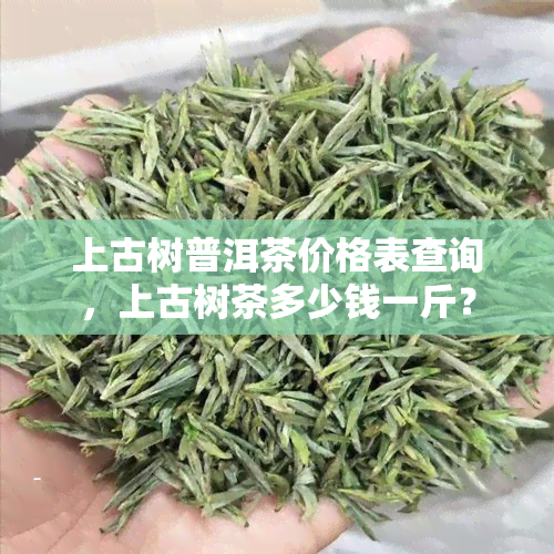 上古树普洱茶价格表查询，上古树茶多少钱一斤？