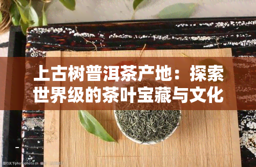 上古树普洱茶产地：探索世界级的茶叶宝藏与文化传承