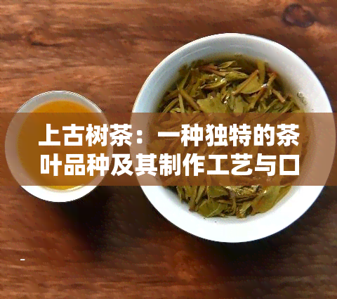 上古树茶：一种独特的茶叶品种及其制作工艺与口感详解