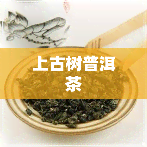 上古树普洱茶