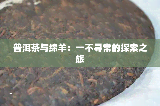 普洱茶与绵羊：一不寻常的探索之旅