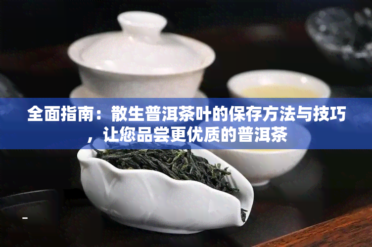 全面指南：散生普洱茶叶的保存方法与技巧，让您品尝更优质的普洱茶