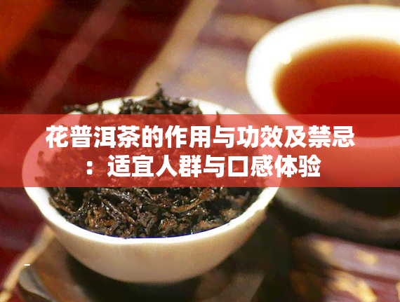 花普洱茶的作用与功效及禁忌：适宜人群与口感体验