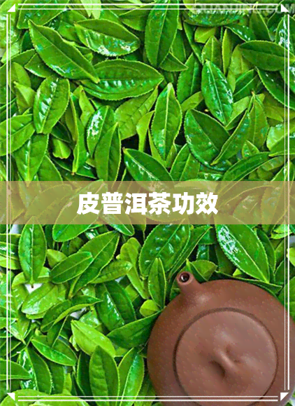 皮普洱茶功效