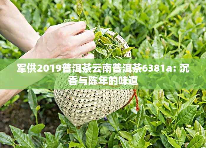 军供2019普洱茶云南普洱茶6381a: 沉香与陈年的味道