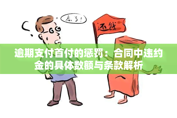 逾期支付首付的惩罚：合同中违约金的具体数额与条款解析