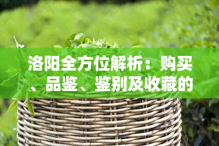 洛阳全方位解析：购买、品鉴、鉴别及收藏的详尽指南