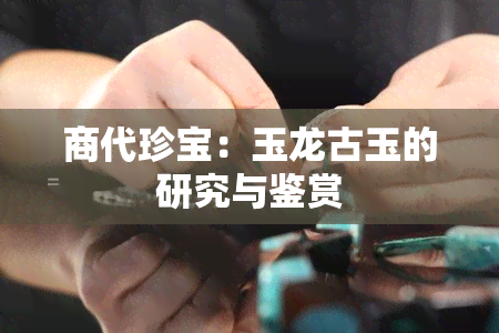 商代珍宝：玉龙古玉的研究与鉴赏