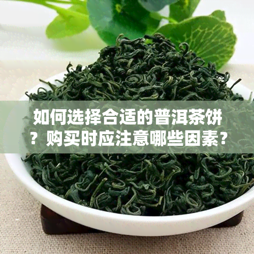 如何选择合适的普洱茶饼？购买时应注意哪些因素？