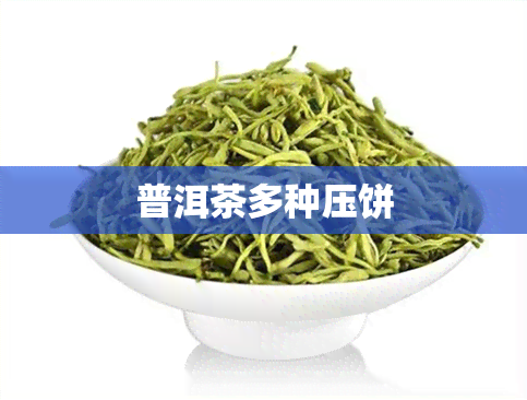 普洱茶多种压饼