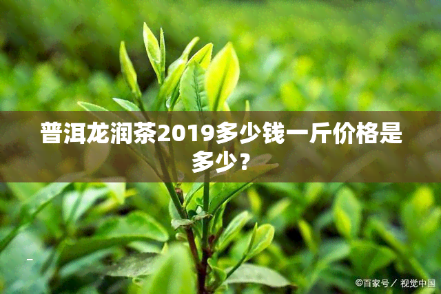 普洱龙润茶2019多少钱一斤价格是多少？