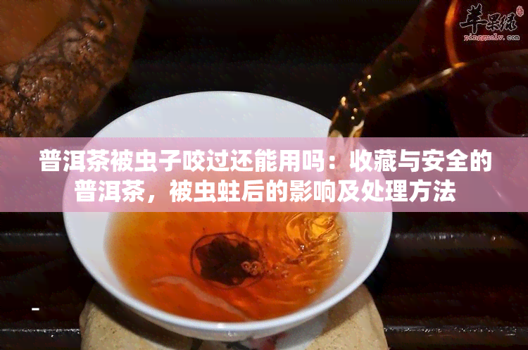 普洱茶被虫子咬过还能用吗：收藏与安全的普洱茶，被虫蛀后的影响及处理方法