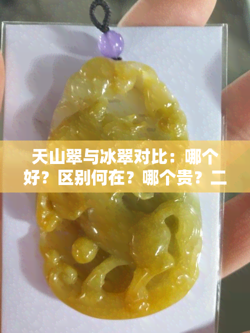 天山翠与冰翠对比：哪个好？区别何在？哪个贵？二者是否相同？