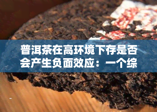 普洱茶在高环境下存是否会产生负面效应：一个综合分析