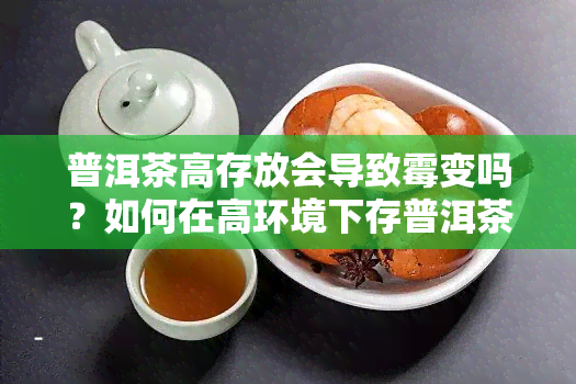 普洱茶高存放会导致霉变吗？如何在高环境下存普洱茶以避免霉菌滋生？