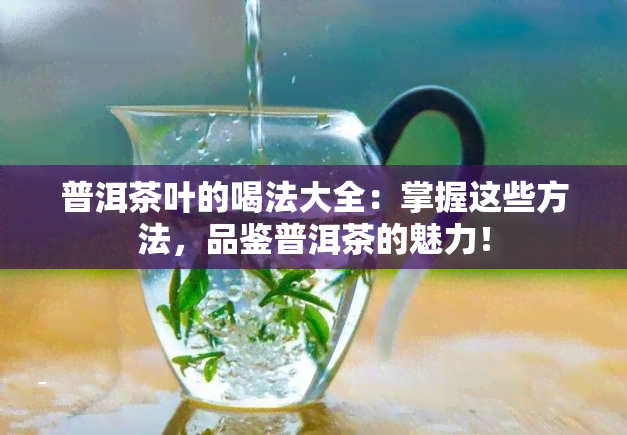 普洱茶叶的喝法大全：掌握这些方法，品鉴普洱茶的魅力！