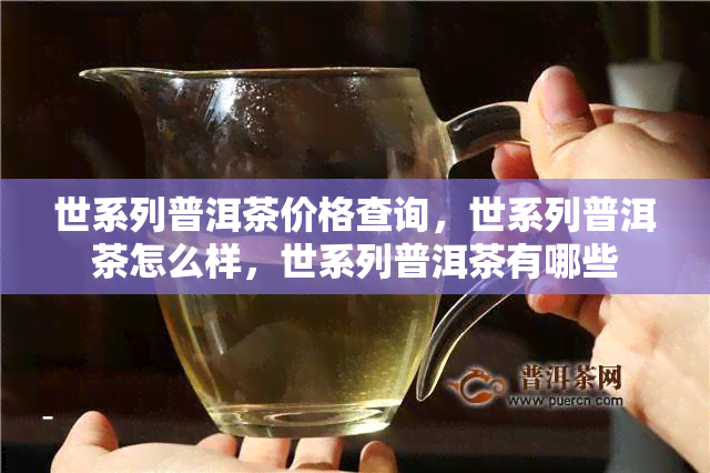 世系列普洱茶价格查询，世系列普洱茶怎么样，世系列普洱茶有哪些