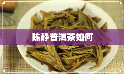 陈静普洱茶如何