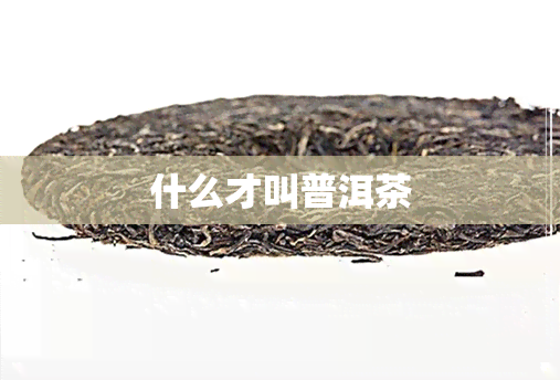 什么才叫普洱茶