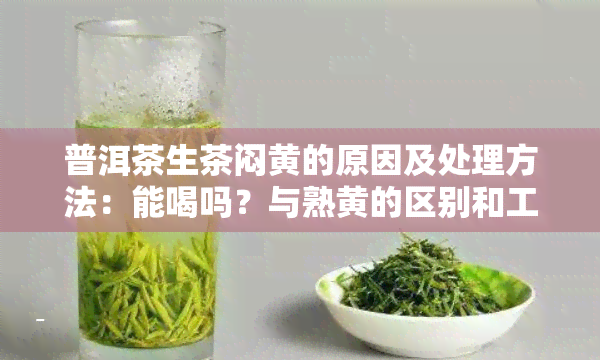 普洱茶生茶闷黄的原因及处理方法：能喝吗？与熟黄的区别和工艺解析