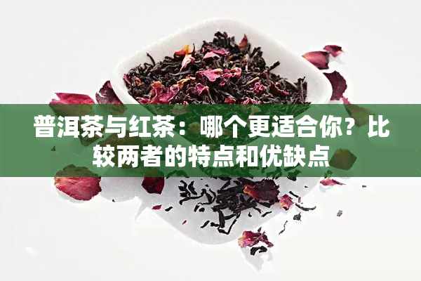 普洱茶与红茶：哪个更适合你？比较两者的特点和优缺点