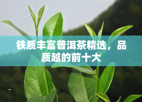 铁质丰富普洱茶精选，品质越的前十大