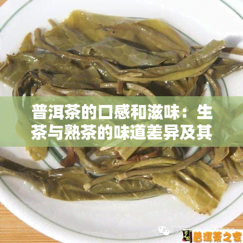 普洱茶的口感和滋味：生茶与熟茶的味道差异及其品质特点