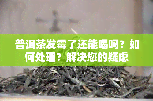 普洱茶发霉了还能喝吗？如何处理？解决您的疑虑