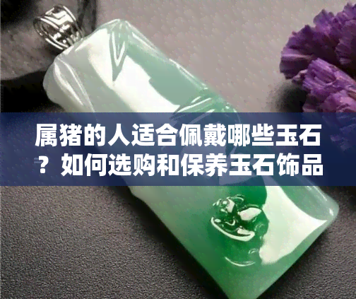 属猪的人适合佩戴哪些玉石？如何选购和保养玉石饰品？