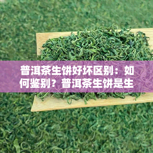 普洱茶生饼好坏区别：如何鉴别？普洱茶生饼是生茶吗？