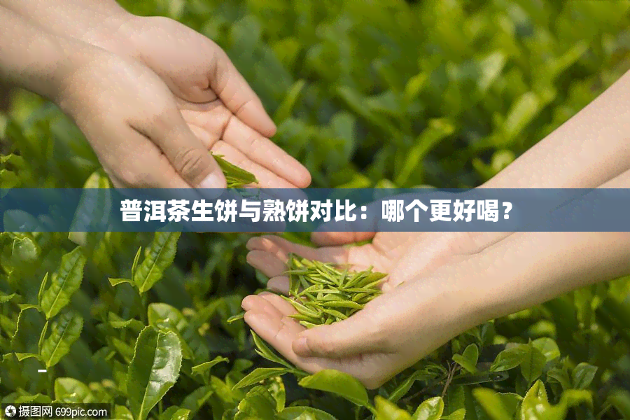 普洱茶生饼与熟饼对比：哪个更好喝？