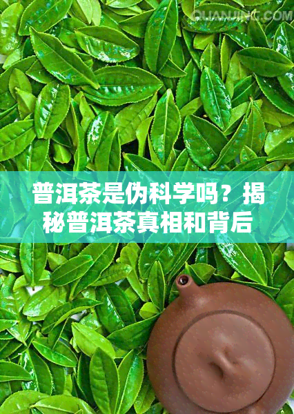 普洱茶是伪科学吗？揭秘普洱茶真相和背后猫腻，揭露普洱茶造假内幕。