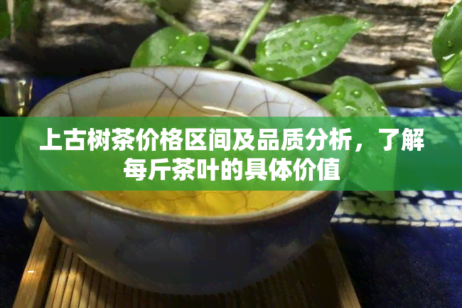 上古树茶价格区间及品质分析，了解每斤茶叶的具体价值