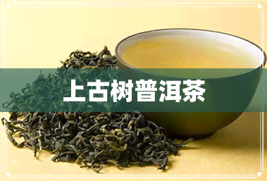 上古树普洱茶