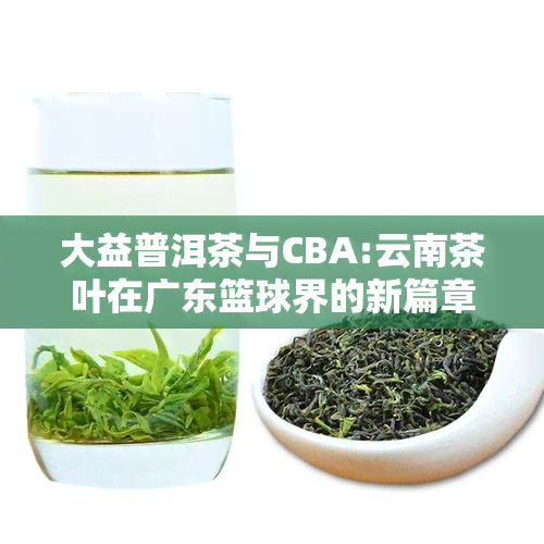 大益普洱茶与CBA:云南茶叶在广东篮球界的新篇章