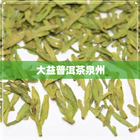 大益普洱茶泉州