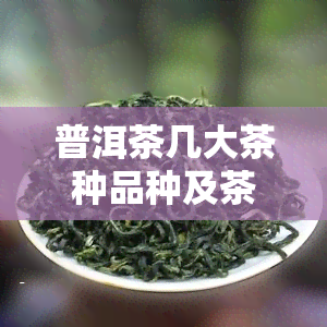 普洱茶几大茶种品种及茶区详解：你真的了解吗？