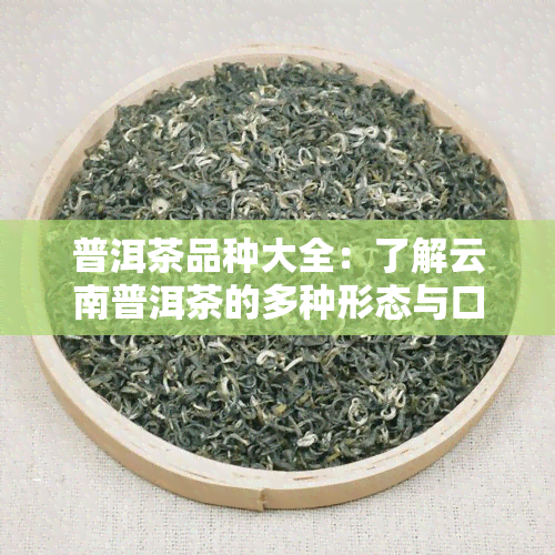 普洱茶品种大全：了解云南普洱茶的多种形态与口感