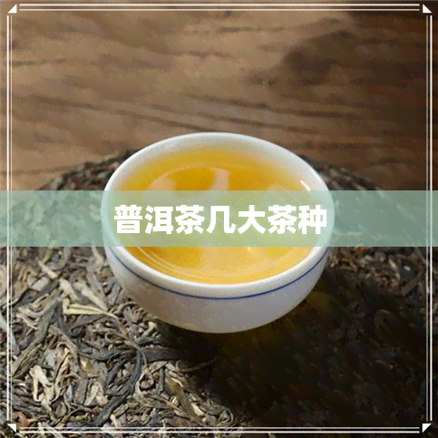 普洱茶几大茶种