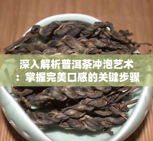 深入解析普洱茶冲泡艺术：掌握完美口感的关键步骤