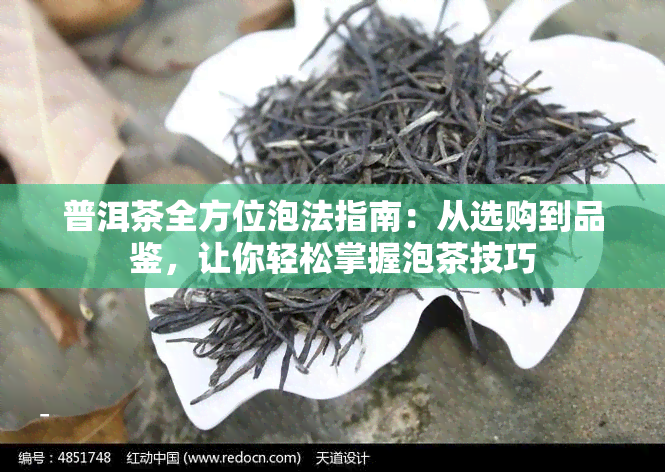 普洱茶全方位泡法指南：从选购到品鉴，让你轻松掌握泡茶技巧