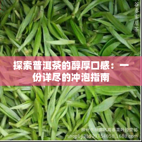 探索普洱茶的醇厚口感：一份详尽的冲泡指南