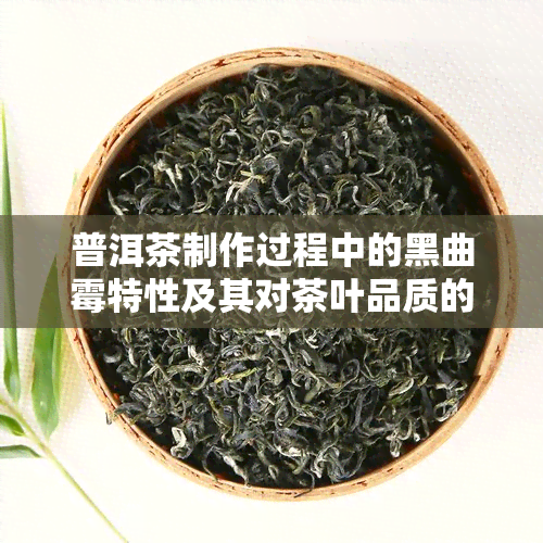 普洱茶制作过程中的黑曲霉特性及其对茶叶品质的影响